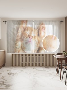 Фототюль JoyArty "Сонный котенок", 145x180 см (2 полотна со шторной лентой + 50 крючков)