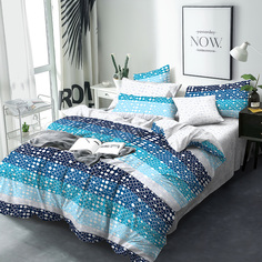 Постельное белье Евро BRAVO Collection нав.70*70 м.261 рис.4433-1+4433а-1 Алонсо
