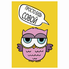 Блокнот с гелевой обложкой 110х145 мм А6 56 л скоба клетка CENTRUM Сова 84277