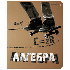Тетрадь предметная КРУТАЯ ТЕМА 48л АЛГЕБРА клетка АЛЬТ 7-48-110 7-48-1101/09