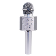 Микрофон-колонка Belsis Magic Acoustic Superstar Silver (MA3001SR)