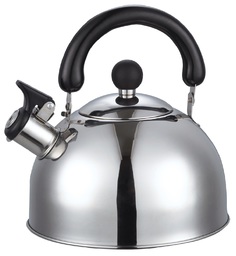 Чайник для плиты Добрыня 2.5 л DO-2903