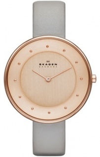 Наручные часы женские Skagen SKW2139