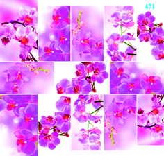 Слайдер-дизайн Dona Jerdona для дизайна ногтей Орхидеи на розовом фоне №471