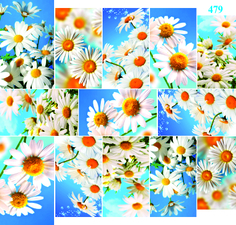 Слайдер-дизайн Dona Jerdona для дизайна ногтей Ромашки №479