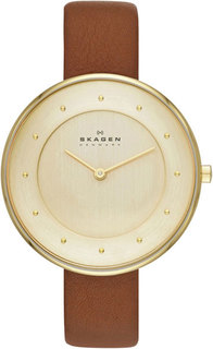 Наручные часы кварцевые женские Skagen SKW2138