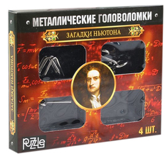 Металлические головоломки "Загадки Ньютона", 4 шт. Sima-Land