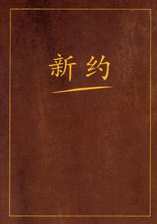 Книга Новый завет на китайском языке Рипол Классик