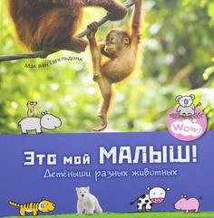 Книга Это мой малыш! Детеныши разных животных