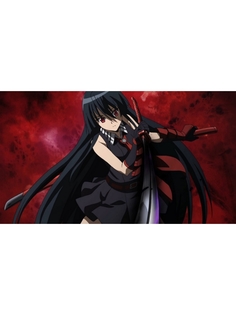 Постер DRABS A2 Аниме убийца акаме