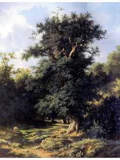 Постер DRABS A2 Каменев Лев Львович, Старый дуб