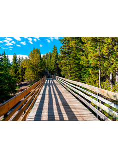 Постер DRABS А2 деревяный мост в лесу