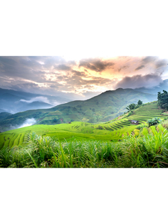 Постер DRABS A2 Рисовое поле и горный пейзаж в Му Канг Чай, Вьетнам.