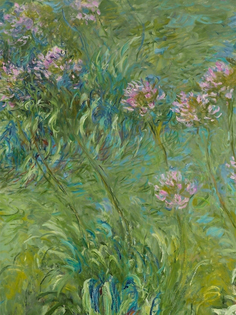 Постер DRABS A3 Клод Моне - Агапантус