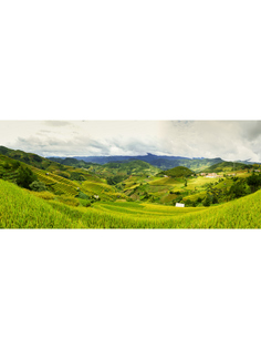 Постер DRABS A2 Му Чанг Чай, Вьетнам