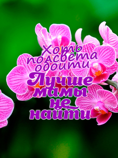 Постер DRABS А3 Лучше мамы не найти