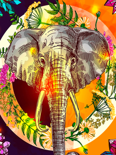 Постер DRABS А2 рисованый слон портет бохо