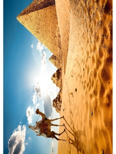 Постер DRABS А2 Бедуины на верблюде возле пирамид в пустыне