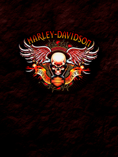 Постер DRABS А2 Biker to the bone