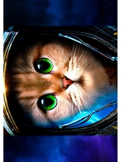 Постер DRABS А3 Кот-космонавт