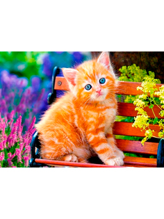 Постер DRABS А2 котенок на скамейке