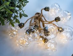 Световая гирлянда новогодняя Kaemingk Лампочки-луковки mor 1017590 2,7 м белый теплый