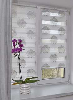 Рулонная штора Delfa Сантайм Декор 62x160 серебро