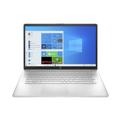 Ноутбук HP 17-cp0096ur Silver (4E2G9EA)