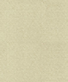 Обои Wiganford XSS0203