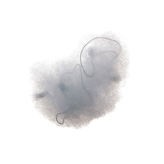 Сеточка DEWAL для прически, серая 2 шт/уп CE103