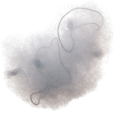 Сеточка Dewal для пучка, черная 2 шт/уп CE053