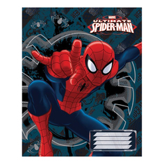 Тетрадь общая Seventeen 24 листа A5 скрепка клетка в ассортименте