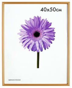 Фоторамка прямоугольная Мирам 40 х 50 см золотая