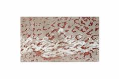 Коврик Sofi De Marko Leo №1/КВ-Ло-1-60х100