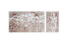 Набор ковриков для ванной Sofi De Marko Leo №1/КВ-Ло-1-НБ