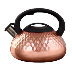 Чайник Magistro 4501426