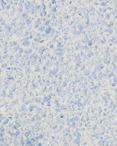 Жидкие обои Silk Plaster Г-326