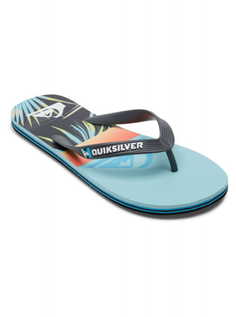 Шлепанцы мужские Quiksilver AQYL101263-BYJ2 голубые 44 EU