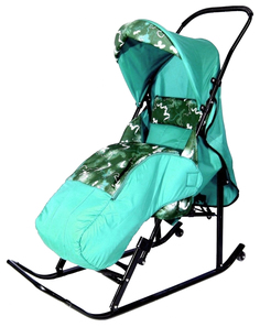 Санки-коляска R-Toys Шустрик-Имго-6 бирюза