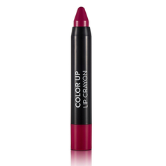 Помада-стик для губ Flormar Color Up тон 06