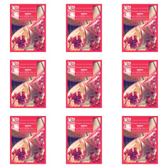 Маска для лица Lebelage Pomegranate Natural Mask тканевая с экстрактом граната, 9 шт