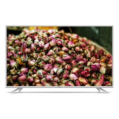 LED Телевизор 4K Ultra HD Polar P65U51T2CSM