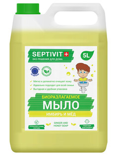 Жидкое мыло для рук Имбирь и мед Septivit Premium 5л