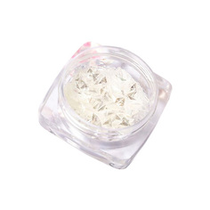 Дизайн для ногтей Blesk «Чешуя дракона» №07