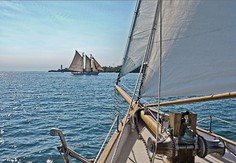 Фотообои бумажные Komar Scenics National Geographic Edition-1 8-526