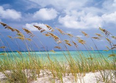 Фотообои бумажные Komar Scenics National Geographic Edition-1 8-515