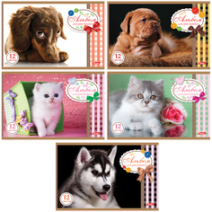 Альбом для рисования Hatber Sweet pets А5 на скрепке 12 листов в ассортименте