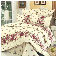 Комплект постельного белья Сайлид B-28 Полутораспальный