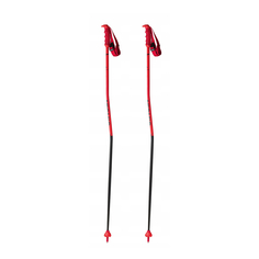 Горнолыжные палки Atomic Redster GS Red (19/20) (130)