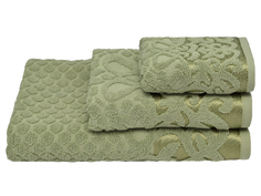 Полотенце махровое Clever 70*140+/-2см Аврора 05-138 болотный